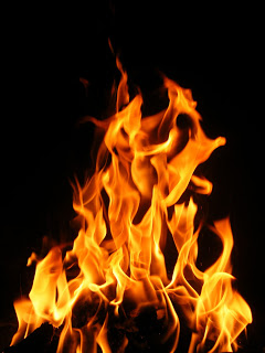 EL DESCUBRIMIENTO DEL FUEGO